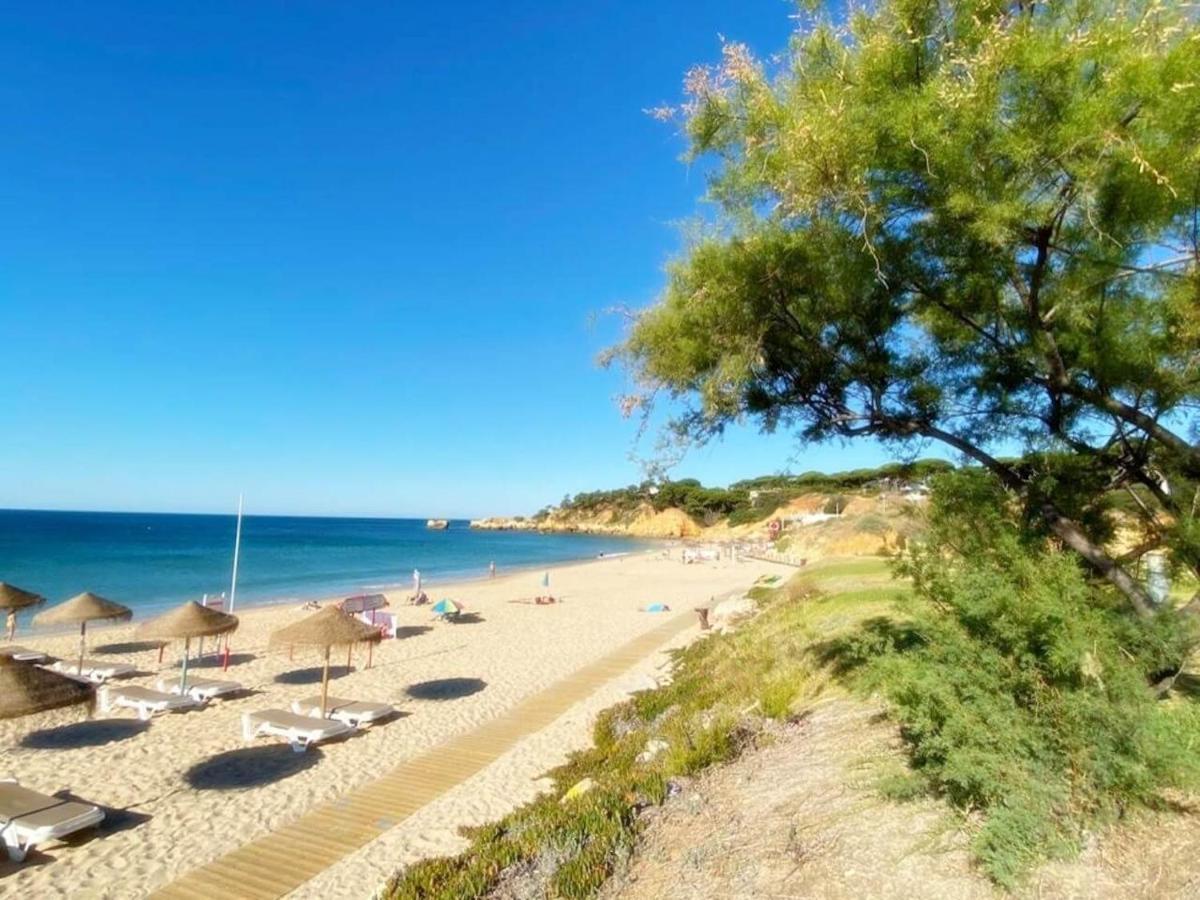 Coral By Albufeira Rental المظهر الخارجي الصورة