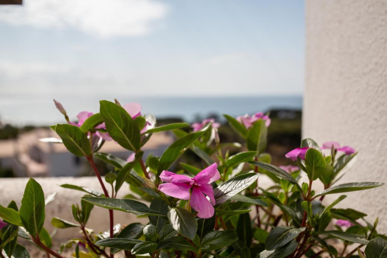 Coral By Albufeira Rental المظهر الخارجي الصورة